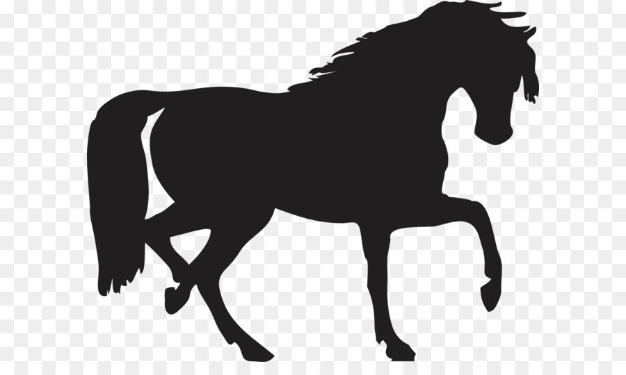 Horse Pony Silhouette Shadow - Black Horse Siluete Png Image png download - 1969*1577 - Free Transparent Mustang png Download.