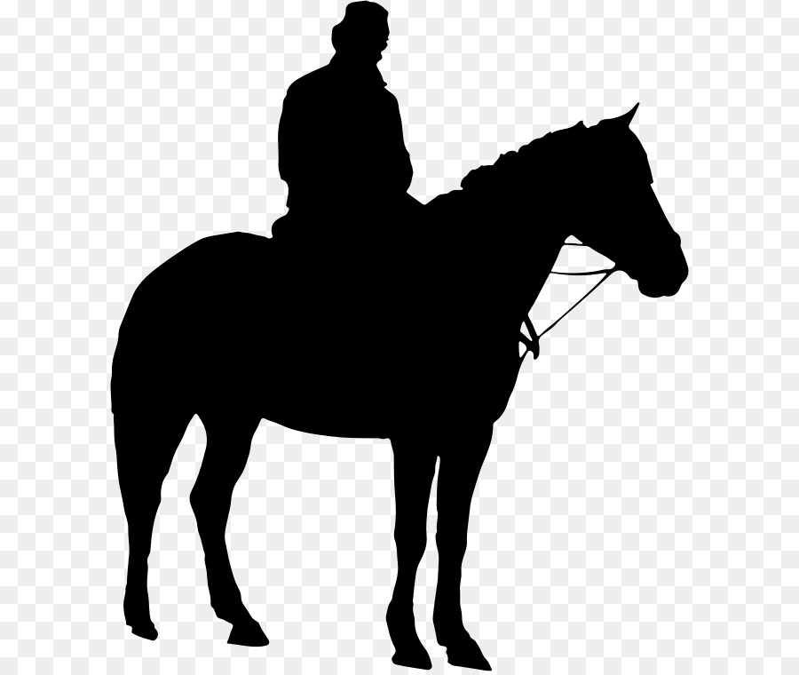 American Quarter Horse Equestrian Silhouette Clip art - horse riding png download - 652*756 - Free Transparent American Quarter Horse png Download.