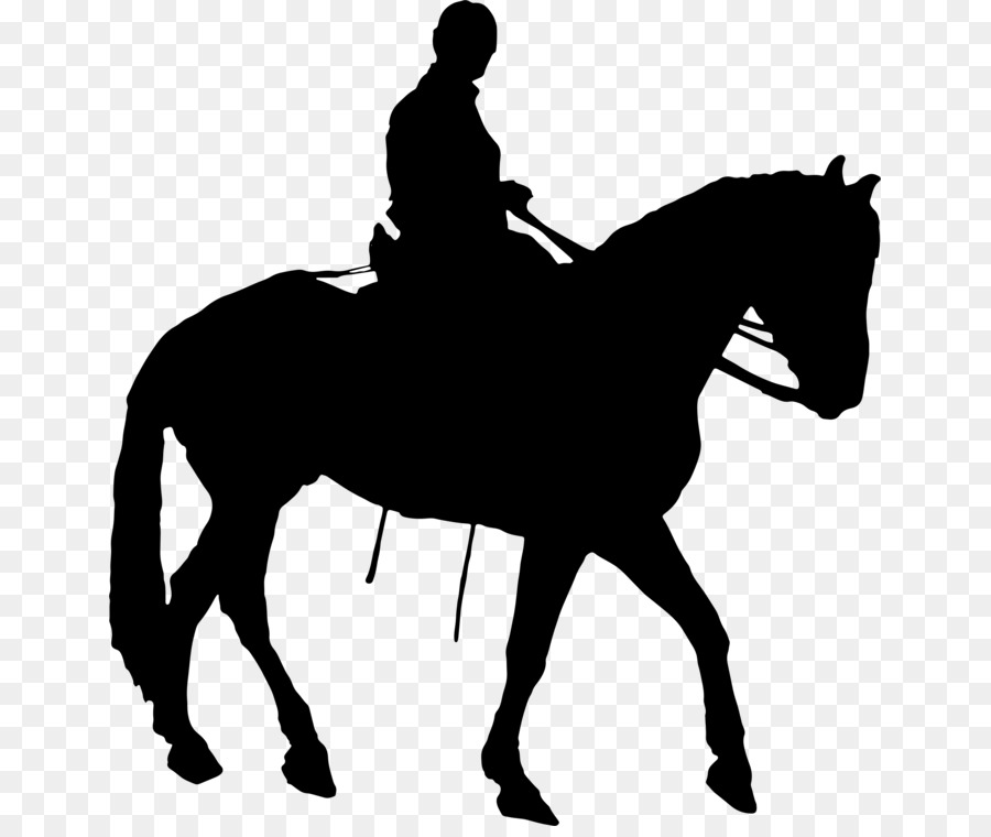 Riding horse Vector graphics Silhouette Clip art - cowboy png herder horseback png download - 701*750 - Free Transparent Horse png Download.