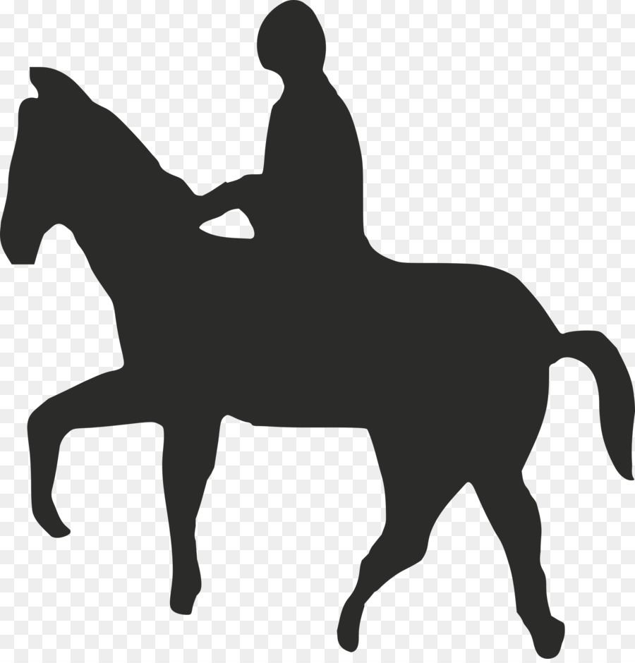 Horse Equestrian English riding Equine therapy Rein - headless horseman png download - 1850*1920 - Free Transparent Horse png Download.