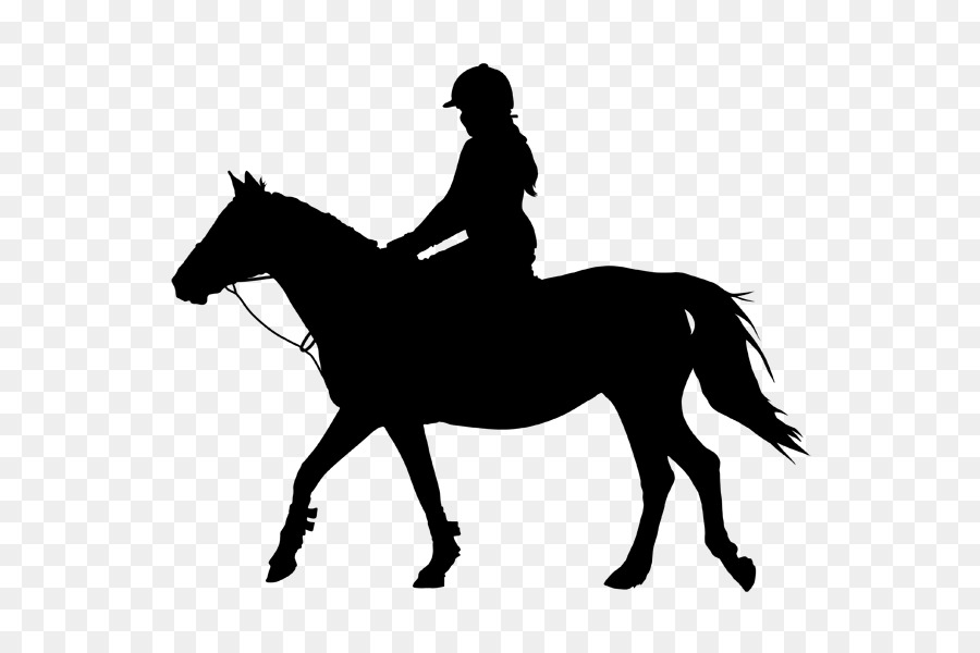 Horse&Rider Equestrian Silhouette Clip art - horse riding png download - 600*600 - Free Transparent Horse png Download.