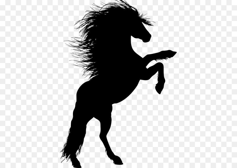 Stallion Horse Rearing Silhouette Clip art - horse png download - 443*640 - Free Transparent Stallion png Download.
