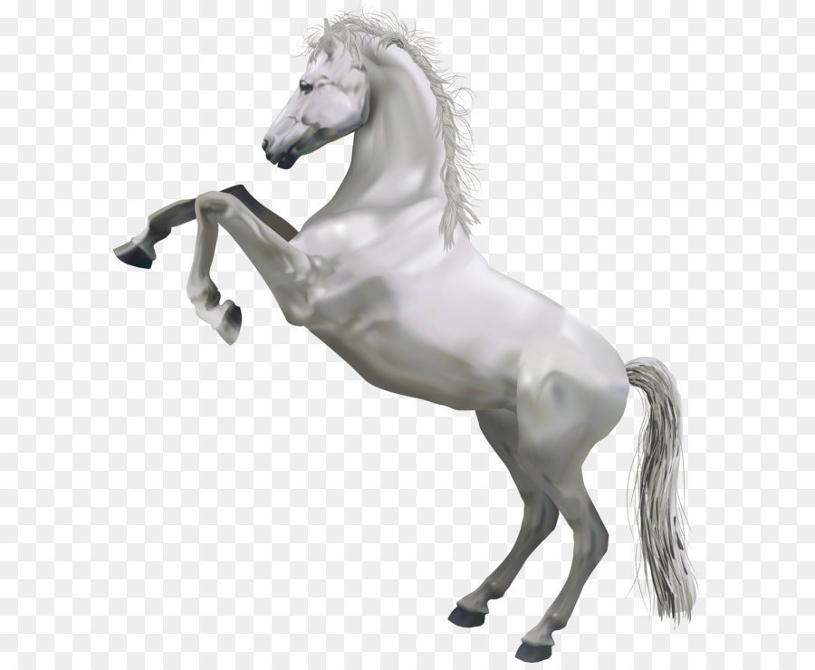 Horse White Clip art - Transparent White Horse png download - 3500*3943 - Free Transparent Horse png Download.
