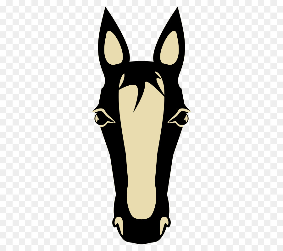 Arabian horse American Quarter Horse Clip art - Horse Face Cliparts png download - 350*800 - Free Transparent Arabian Horse png Download.