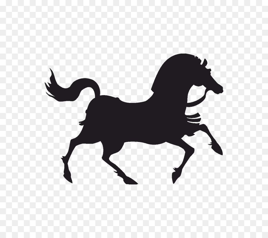 Vector graphics Horse Drawing Image Illustration - horse png download - 800*800 - Free Transparent Horse png Download.