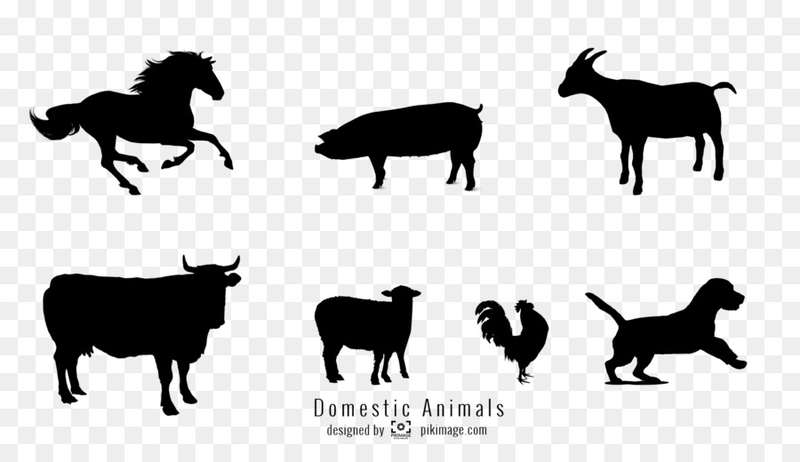 Sheep Cattle Horse Pig - sheep png download - 1920*1080 - Free Transparent Sheep png Download.