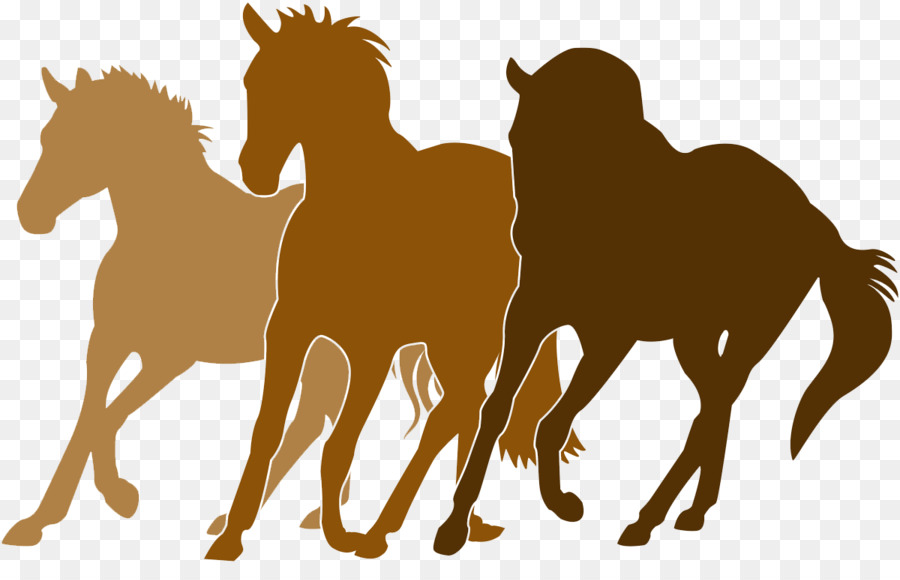 Horse Equestrian Silhouette - the horse exempts png png download - 1200*751 - Free Transparent Horse png Download.