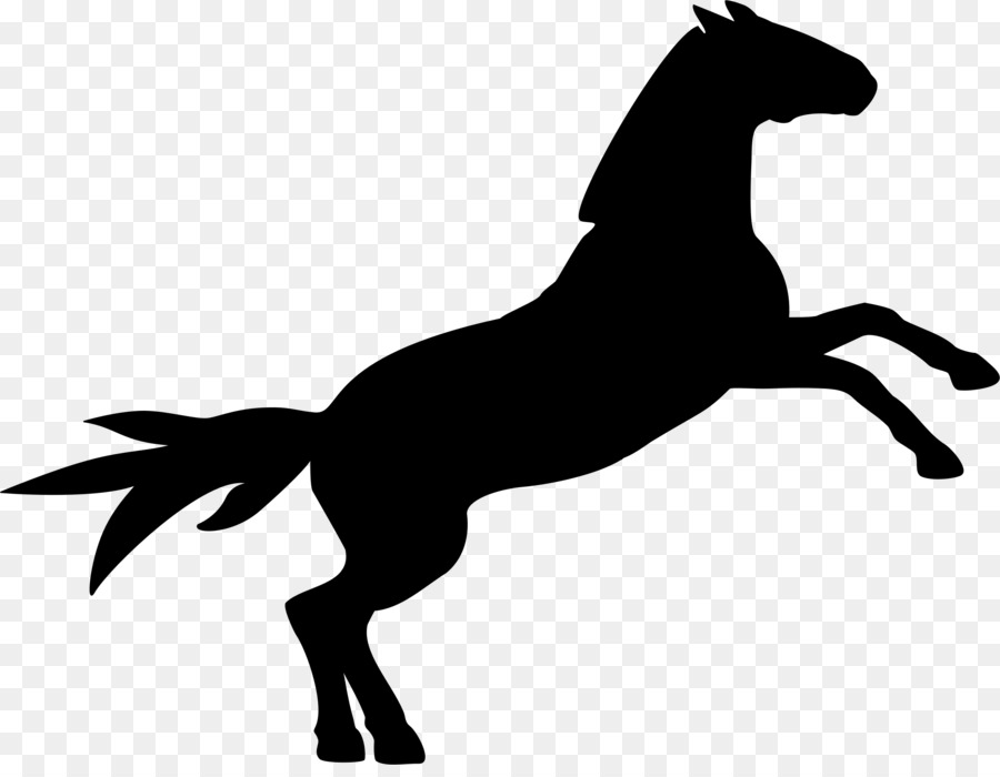 Horse Show jumping Equestrian Clip art - horse png download - 2399*1836 - Free Transparent Horse png Download.