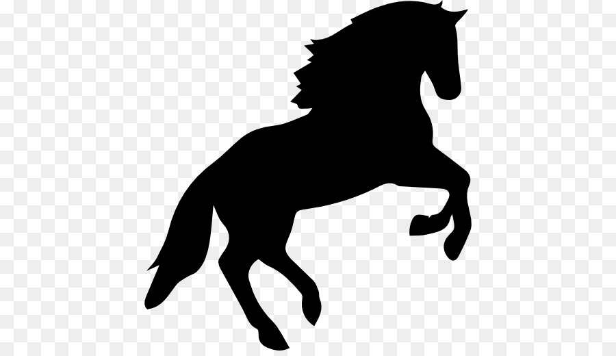 Arabian horse Jumping Equestrian Clip art - horse png download - 512*512 - Free Transparent Arabian Horse png Download.