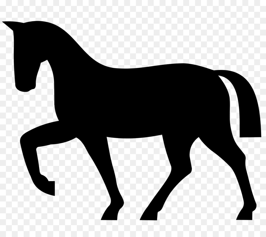 Andalusian horse Equestrian Silhouette Clip art - horse race png download - 2000*1777 - Free Transparent Andalusian Horse png Download.