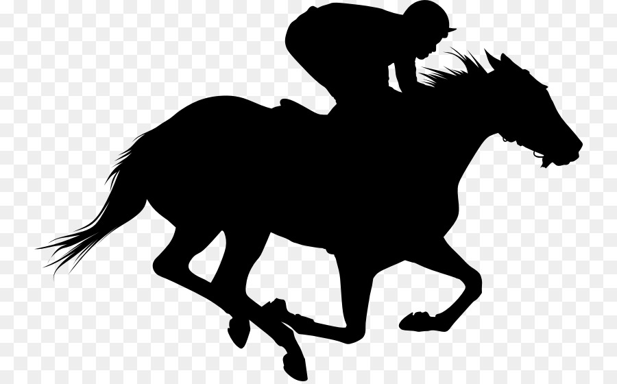Thoroughbred Horse racing Clip art - horse racing png download - 800*556 - Free Transparent Thoroughbred png Download.