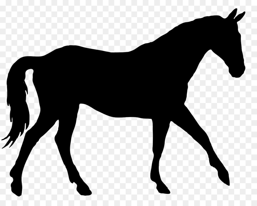 American Quarter Horse Silhouette Equestrian Clip art - Silhouette png download - 1063*844 - Free Transparent American Quarter Horse png Download.