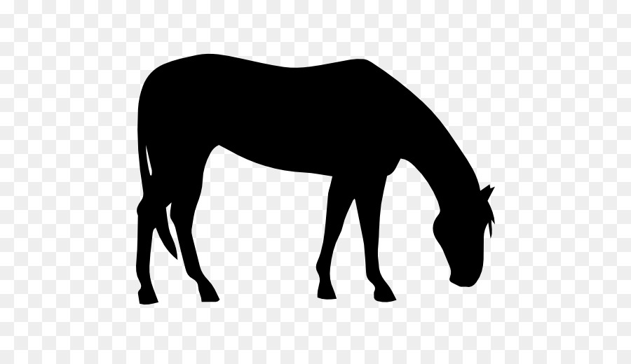 American Quarter Horse American Paint Horse Silhouette Clip art - black pasture silhoute png download - 512*512 - Free Transparent American Quarter Horse png Download.