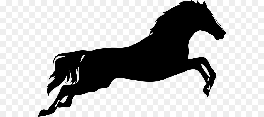 Horse Vector graphics Clip art Silhouette Jumping -  png download - 640*399 - Free Transparent Horse png Download.