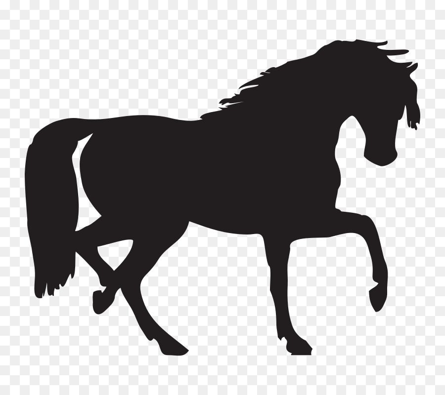 Arabian horse Silhouette Scalable Vector Graphics Clip art - Silhouette Of A Horse png download - 800*800 - Free Transparent Arabian Horse png Download.