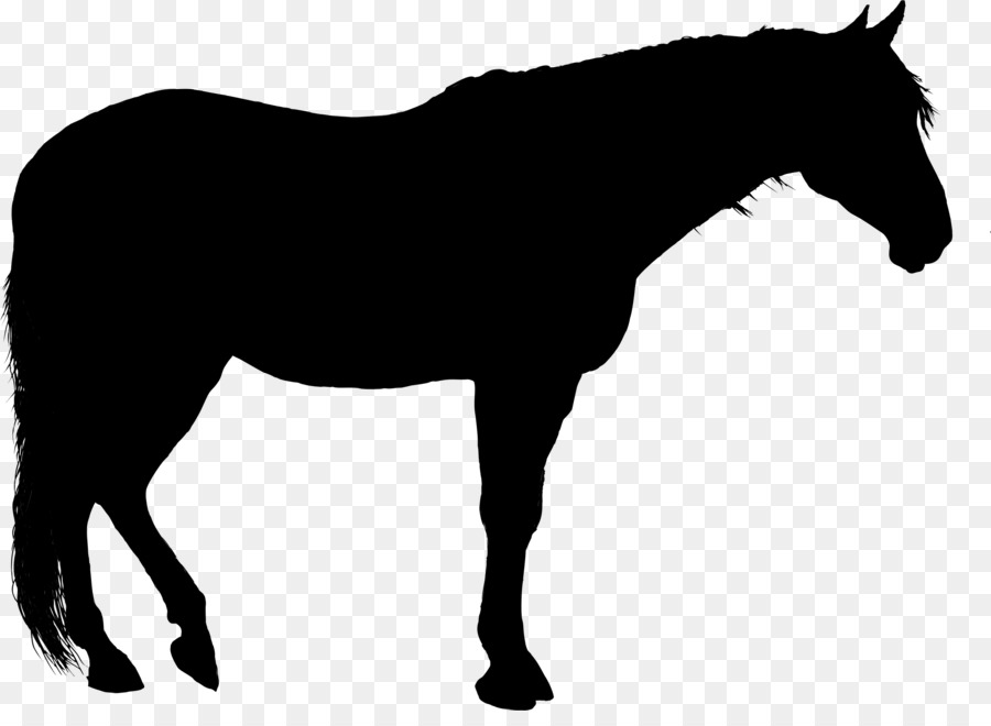 Horse Silhouette Clip art - horse png download - 2314*1660 - Free Transparent Horse png Download.