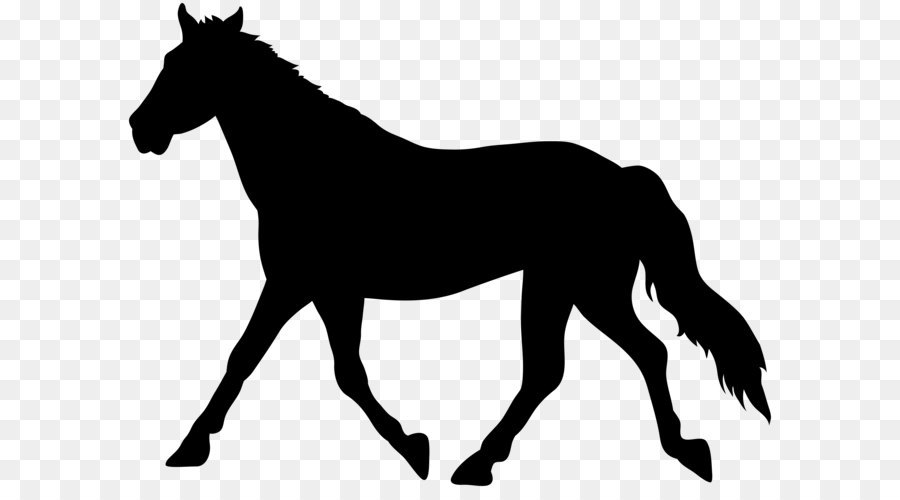 American Paint Horse Clip art - Horse Silhouette PNG Transparent Clip Art Image png download - 8000*6013 - Free Transparent American Paint Horse png Download.