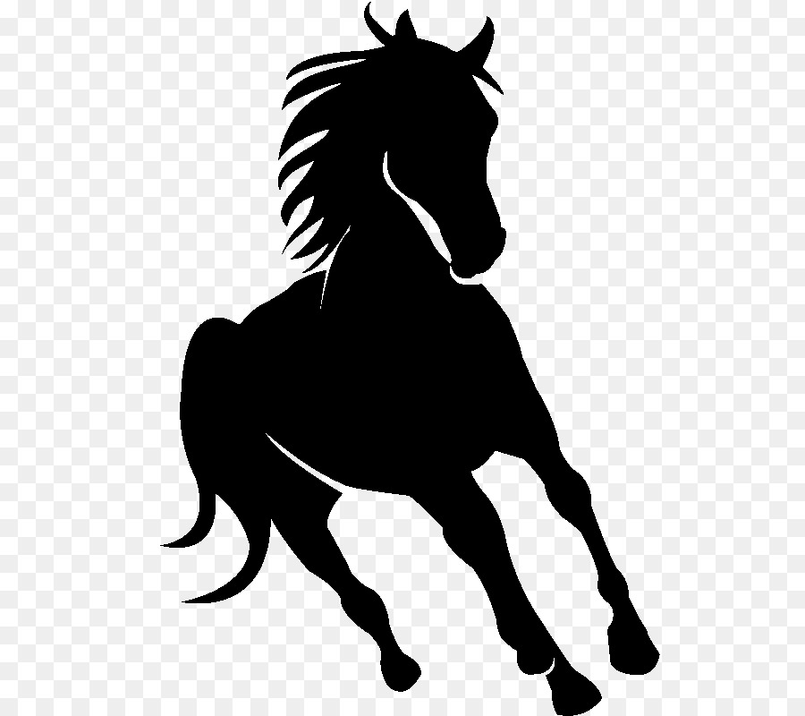 Arabian horse Friesian horse Silhouette Drawing - Silhouette png download - 800*800 - Free Transparent Arabian Horse png Download.