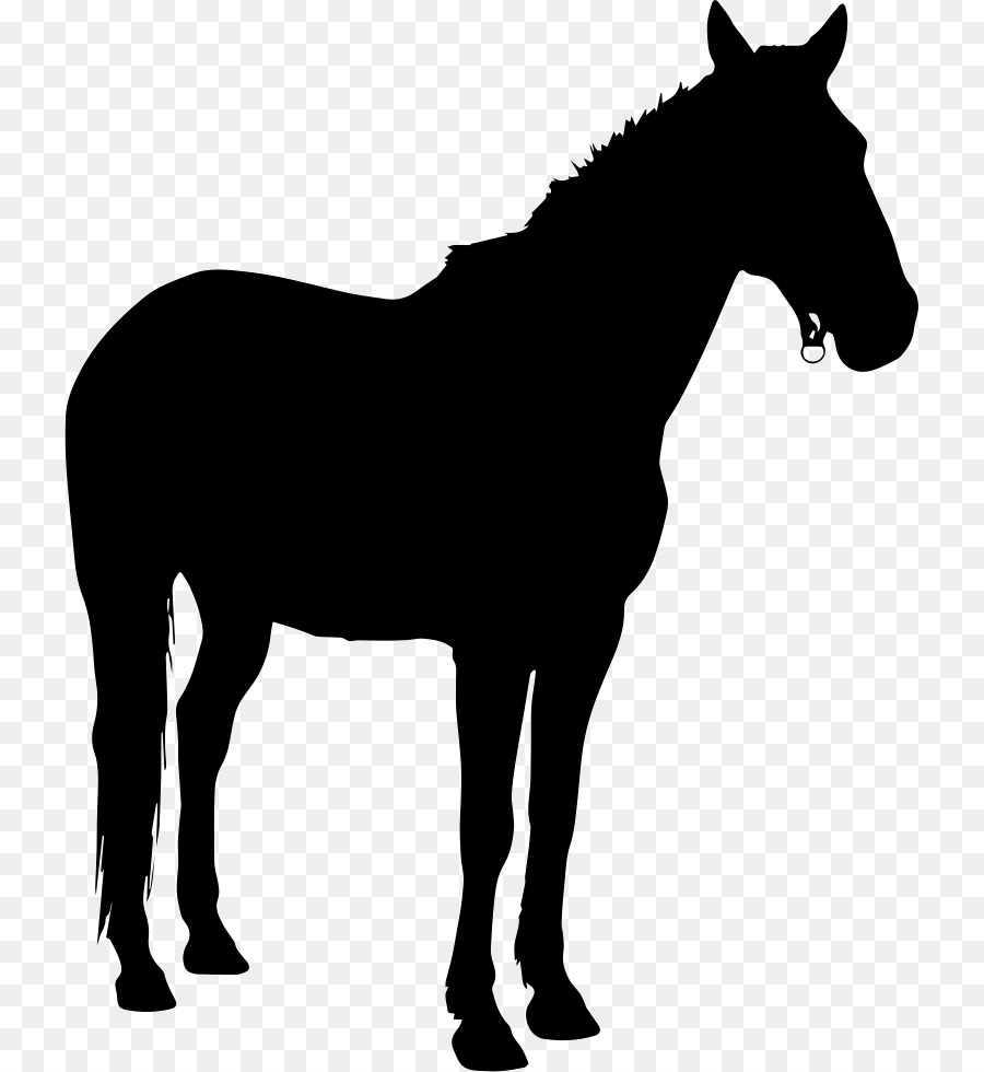 Pony Horse Silhouette Clip art - horse png download - 781*980 - Free Transparent Pony png Download.