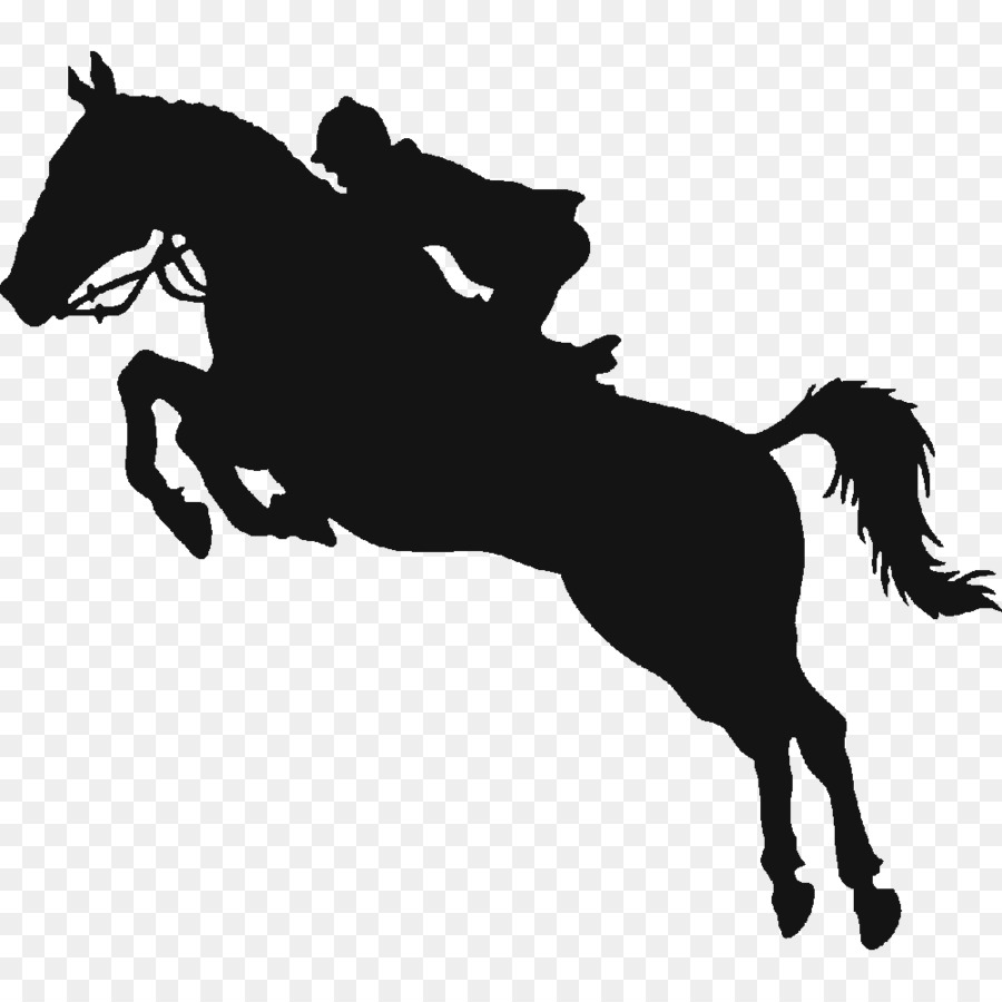 Horse show Equestrian Show jumping - Black Horse Logo png download - 1000*1000 - Free Transparent Horse png Download.
