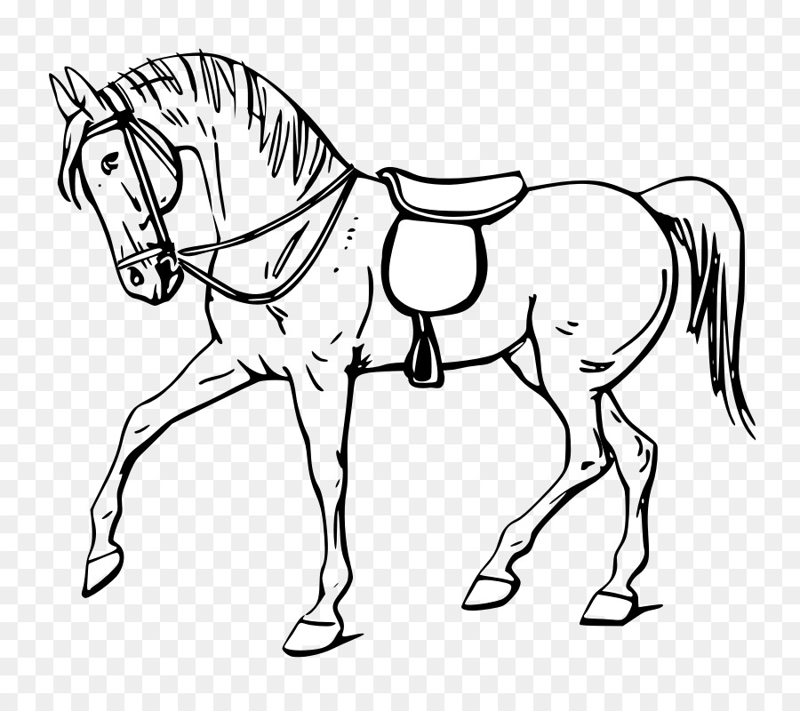 Tennessee Walking Horse Drawing Show jumping Clip art - Animal Outline png download - 800*800 - Free Transparent Tennessee Walking Horse png Download.