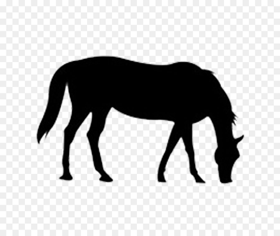 Clip art - The outline of the horse png download - 750*750 - Free Transparent  Encapsulated PostScript png Download.