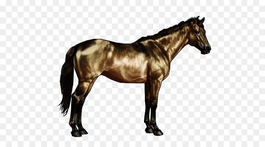 American Paint Horse American Quarter Horse Black Bay Buckskin - pale horses png download - 600*500 - Free Transparent American Paint Horse png Download.