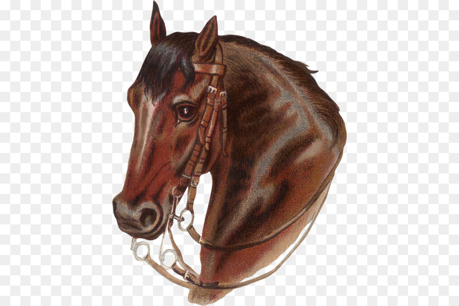 Horse Prairie: the legend of Charles Burton Irwin.. Prairie: The Legend of Charles Burton Irwin and the Y6 Ranch Cross Stitch Patterns Cross-stitch - horse png download - 460*600 - Free Transparent Horse png Download.
