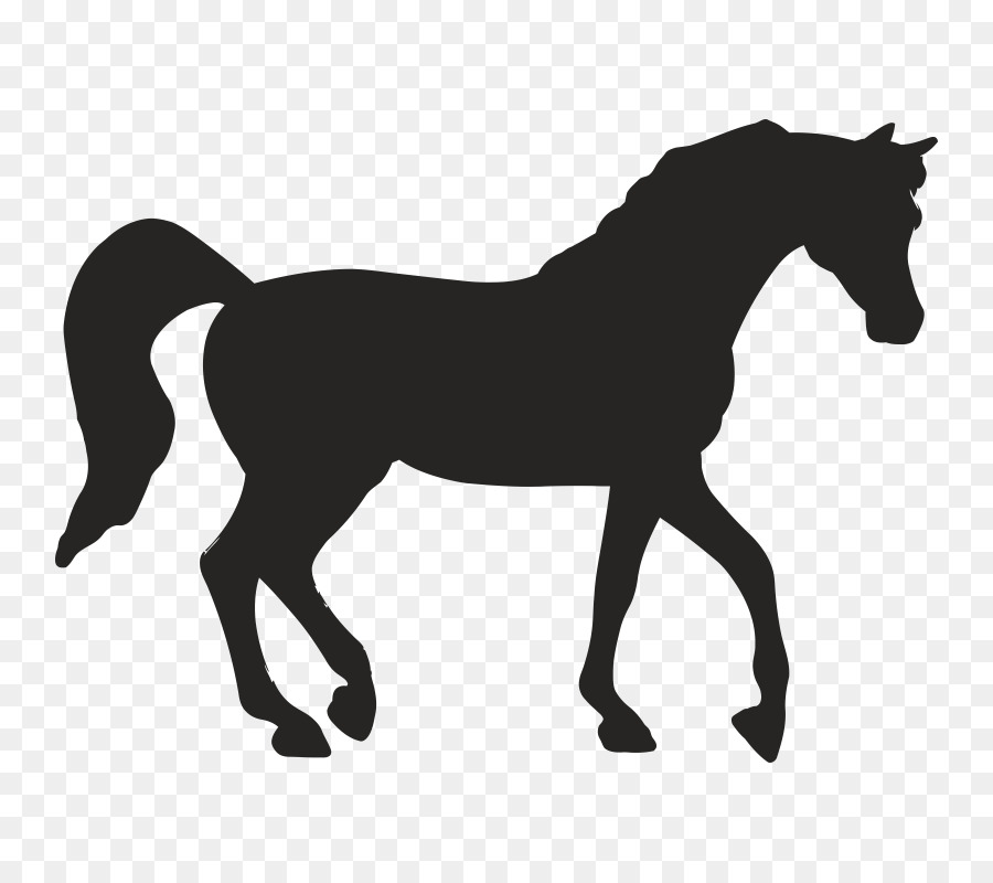 Horse Stencil - horse png download - 800*800 - Free Transparent Horse png Download.