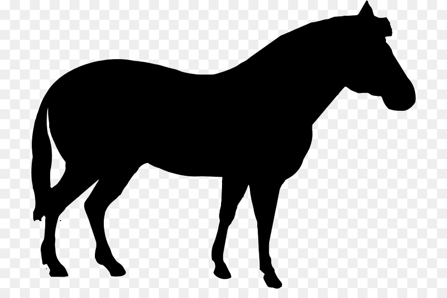 American Quarter Horse Clip art Vector graphics Silhouette Stallion -  png download - 774*581 - Free Transparent American Quarter Horse png Download.