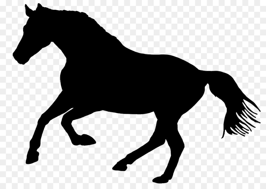 Horse Vector graphics Stallion Portable Network Graphics Logo - andalusian png silhouette png download - 977*692 - Free Transparent Horse png Download.