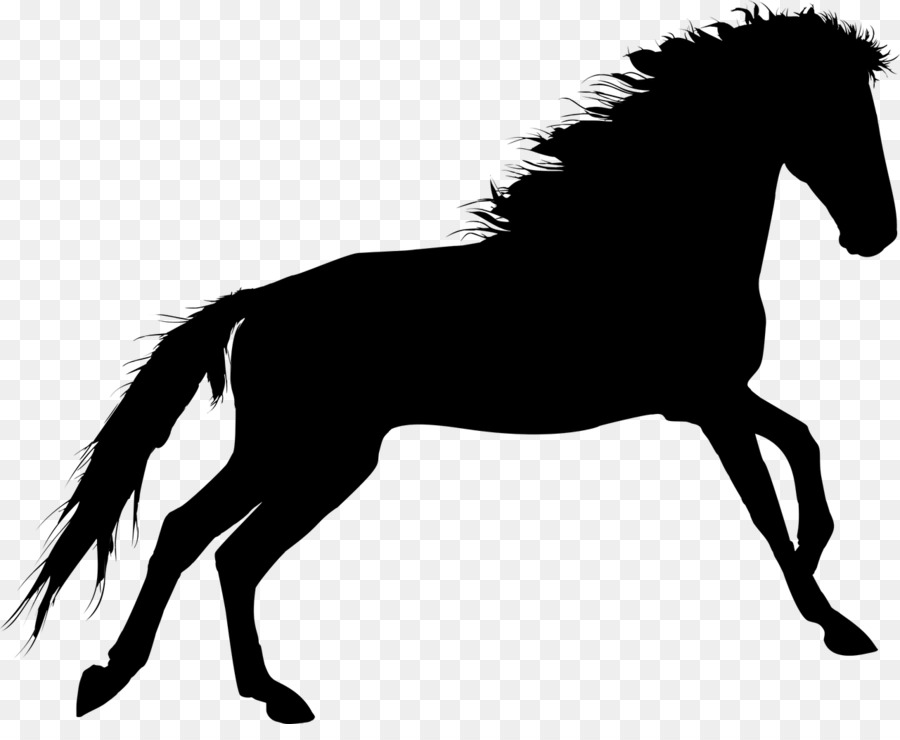 Horse Portable Network Graphics Clip art Silhouette Vector graphics - horse clipart png pinclipart png download - 1280*1030 - Free Transparent Horse png Download.