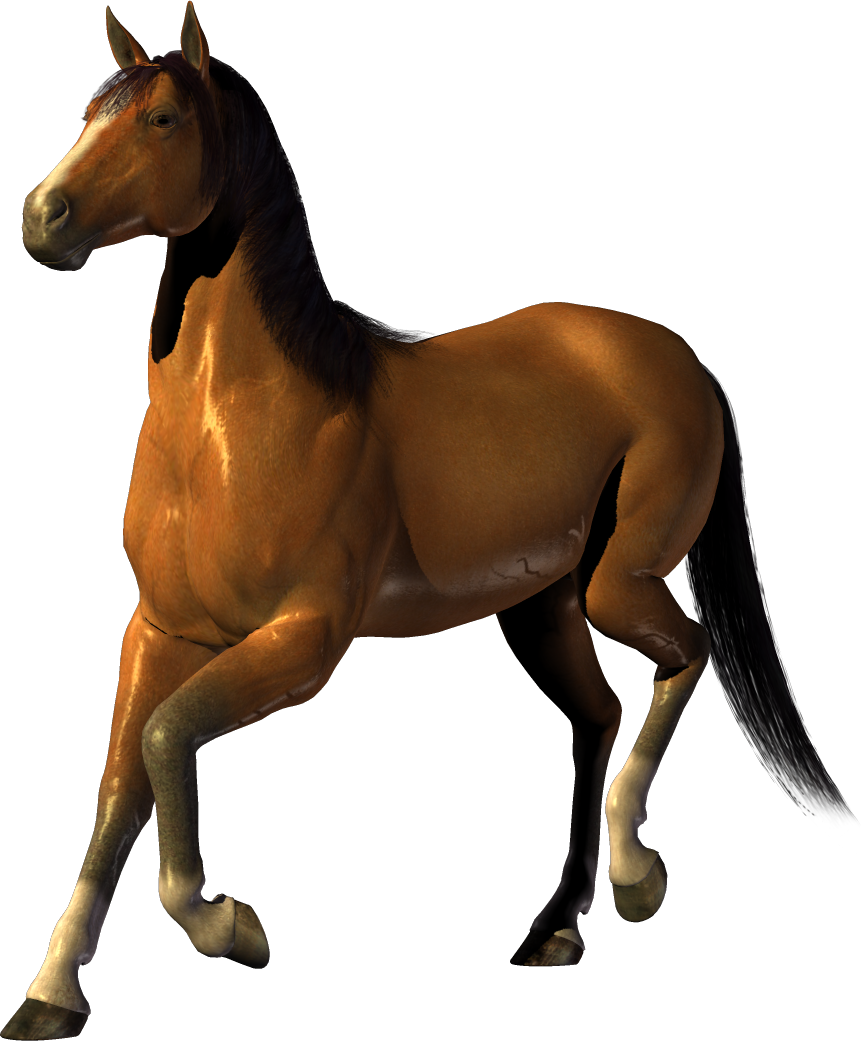 Horse Clip art - horse png image, free download picture, transparent