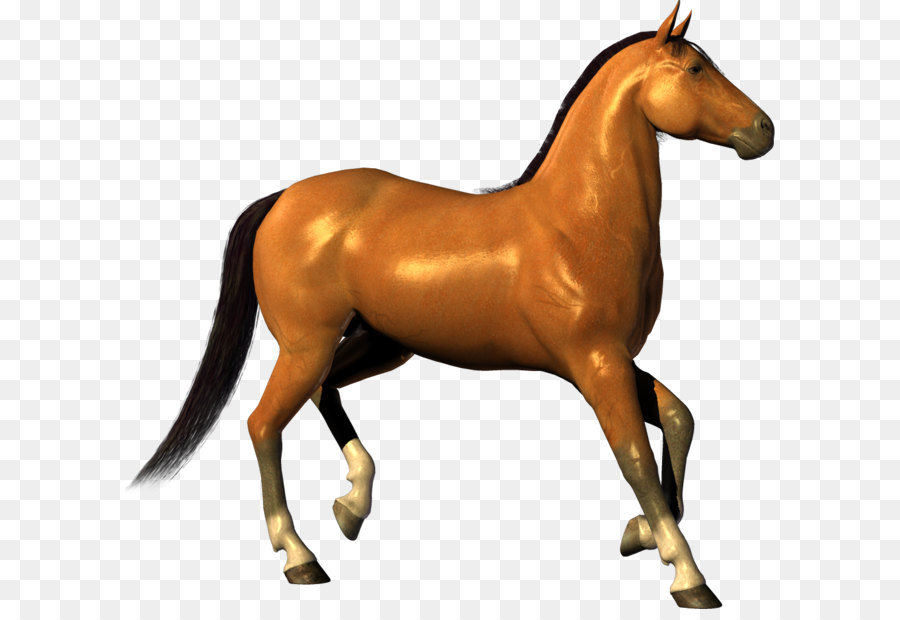 Horse Clip art - Horse png image png download - 1070*1003 - Free Transparent Horse png Download.