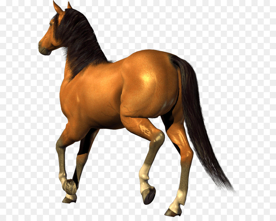 Horse Clip art - Horse Png Image Download Picture Transparent Background png download - 822*894 - Free Transparent Horse png Download.