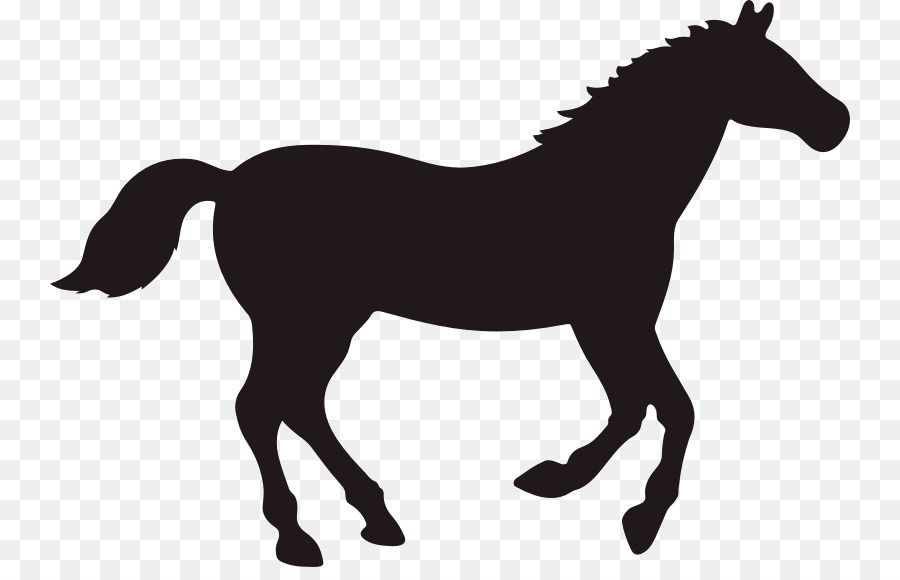 Rocky Mountain Horse Vector graphics Clip art Black - Silhouette png download - 800*567 - Free Transparent Rocky Mountain Horse png Download.