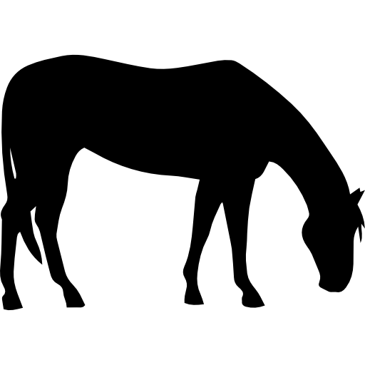 quarter horse silhouette clip art
