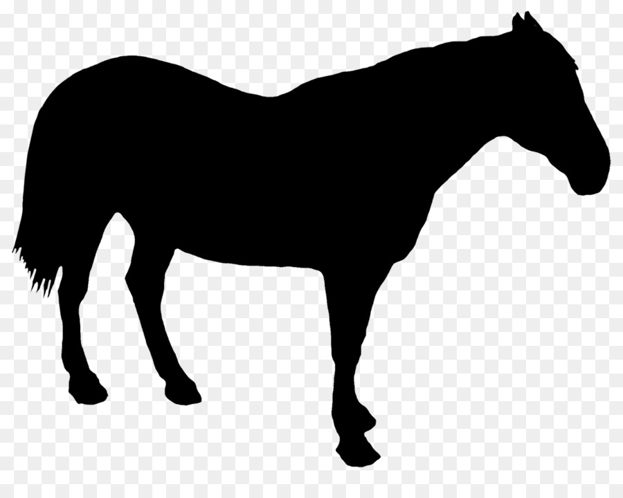 Draft horse Drawing Silhouette - horse riding png download - 1063*827 - Free Transparent Horse png Download.