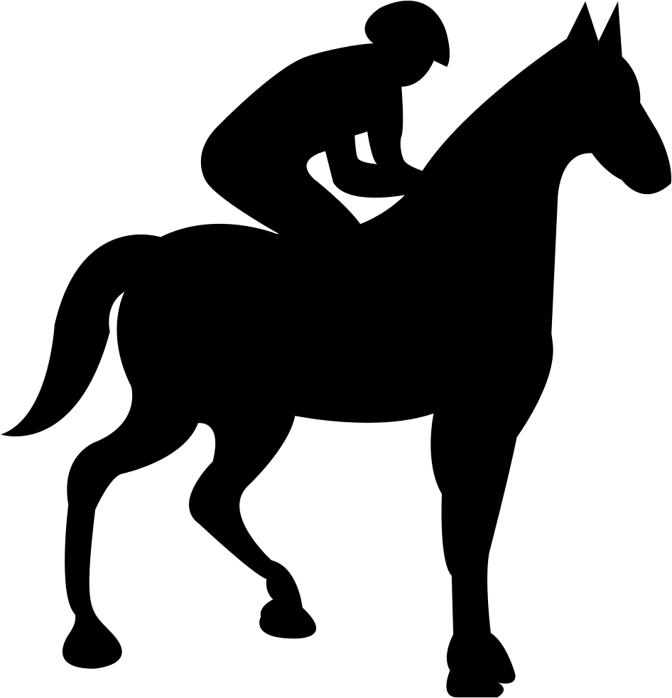 caballo y jinete dibujo
