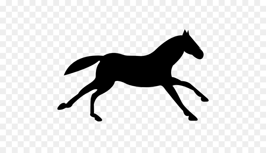 Appaloosa Equestrian Black Computer Icons - running horse png download - 512*512 - Free Transparent Appaloosa png Download.