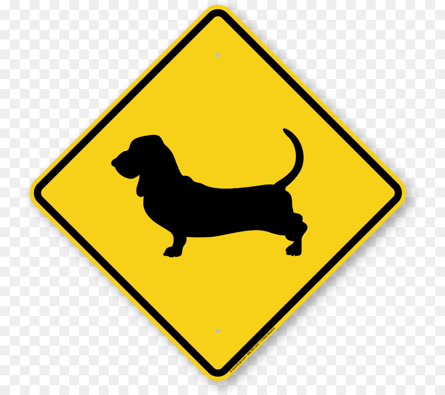Basset Hound Lhasa Apso Guard dog Boxer - golden glare png download - 800*800 - Free Transparent Basset Hound png Download.