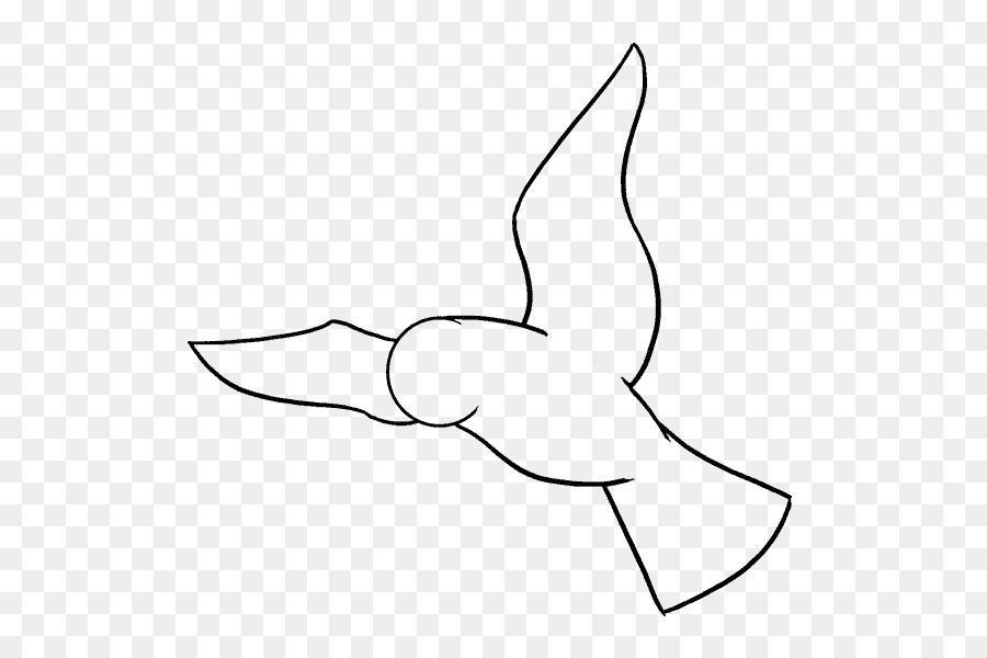 Draw Birds Drawing Parrot Sketch - Bird png download - 678*600 - Free Transparent Bird png Download.