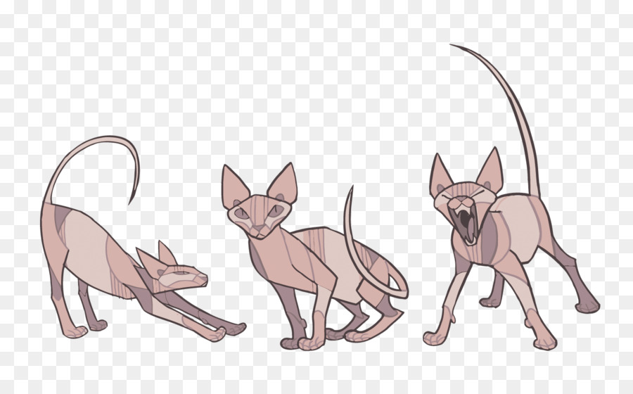 Sphynx cat Donskoy cat Kitten How to Draw Animals Drawing - Vector cat png download - 1500*907 - Free Transparent Sphynx Cat png Download.