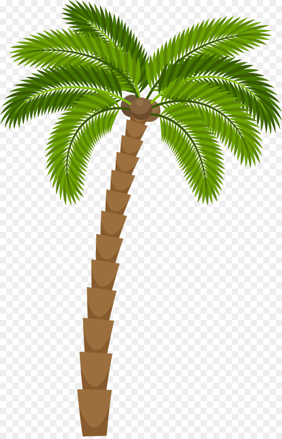 Drawing Silhouette Royalty-free Illustration - Green cartoon coconut tree png download - 3001*4641 - Free Transparent Drawing png Download.
