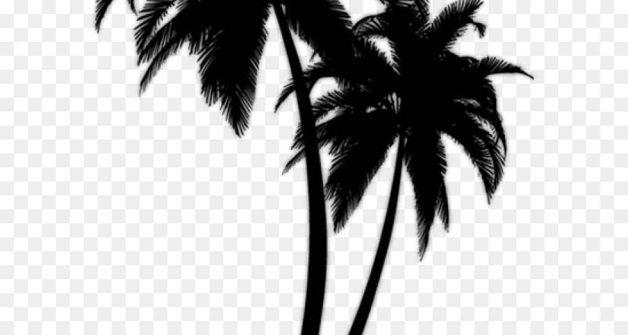 Portable Network Graphics Palm trees Clip art Transparency Vector graphics - palm tree clip art png silhouette png download - 640*480 - Free Transparent Palm Trees png Download.