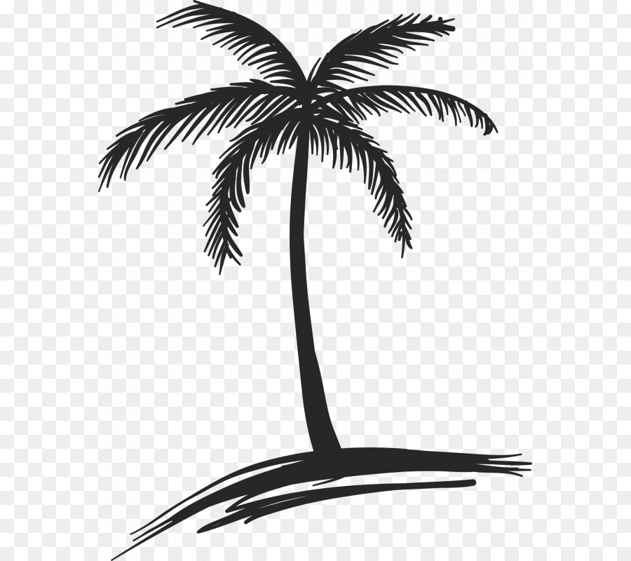Drawing Coconut Arecaceae Tree Watercolor painting - Star Ocean png download - 800*800 - Free Transparent Drawing png Download.