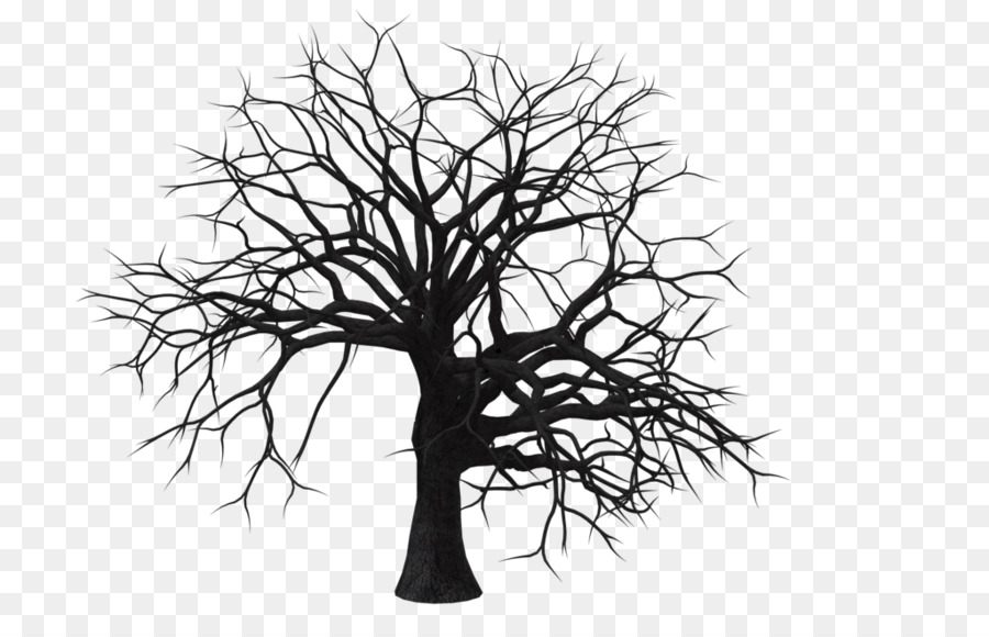 Tree Branch Clip art - Free Tree Pictures png download - 1024*645 - Free Transparent Tree png Download.