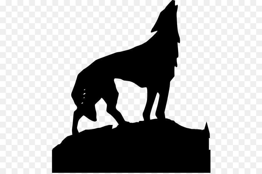 Gray wolf Clip art - howling vector png download - 546*596 - Free Transparent Gray Wolf png Download.