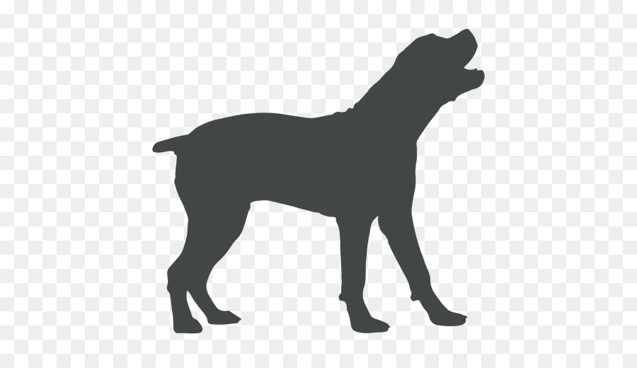 Labrador Retriever Puppy Silhouette Coyote howl - howling vector png download - 512*512 - Free Transparent Labrador Retriever png Download.