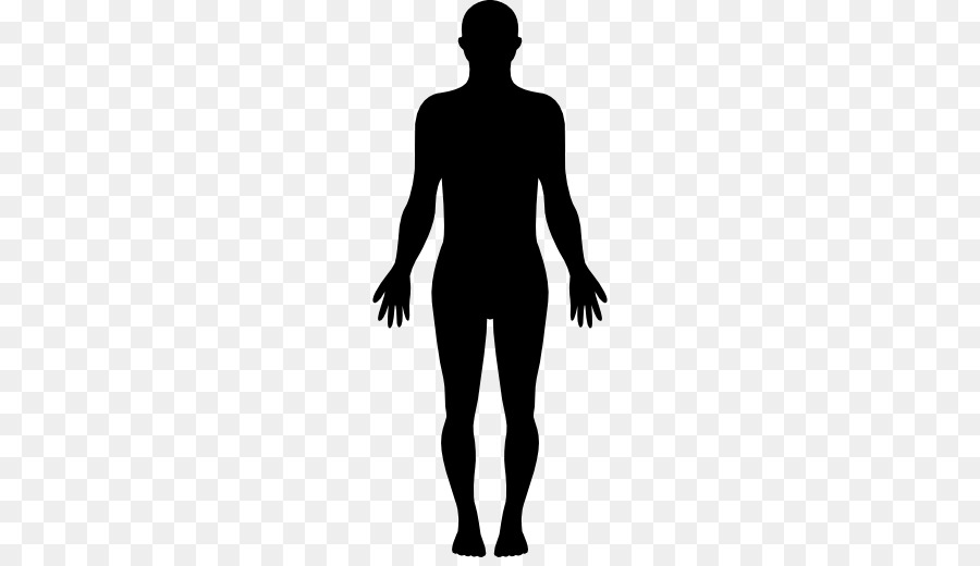 Human body Homo sapiens Silhouette Clip art - human png download - 512*512 ...